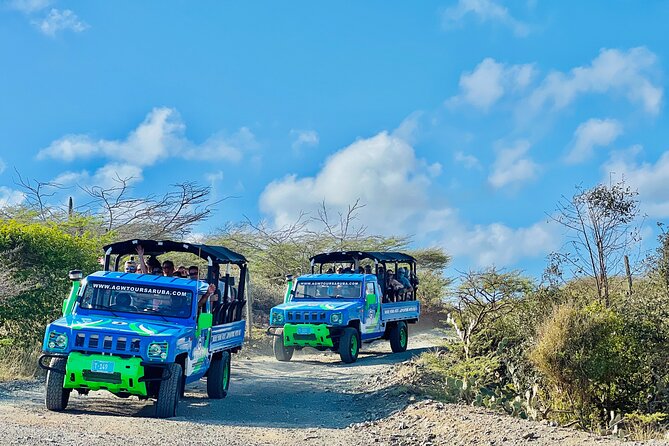 aruba 4x4 off road desert cactus jeep