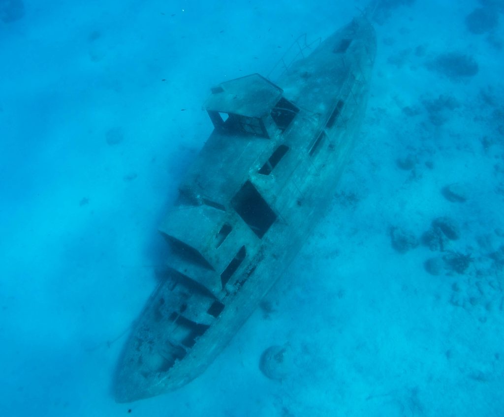 mangel halto tugboat wreck marine life