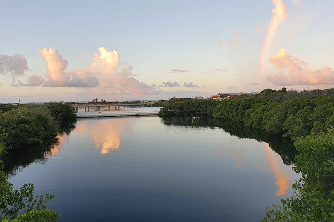 spanish lagoon aruba mangroves calm water