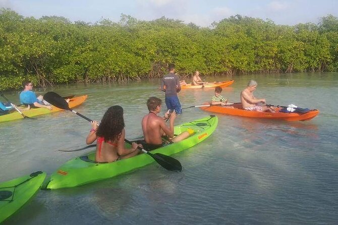 aruba mangrove kayaking spanish lagoon
