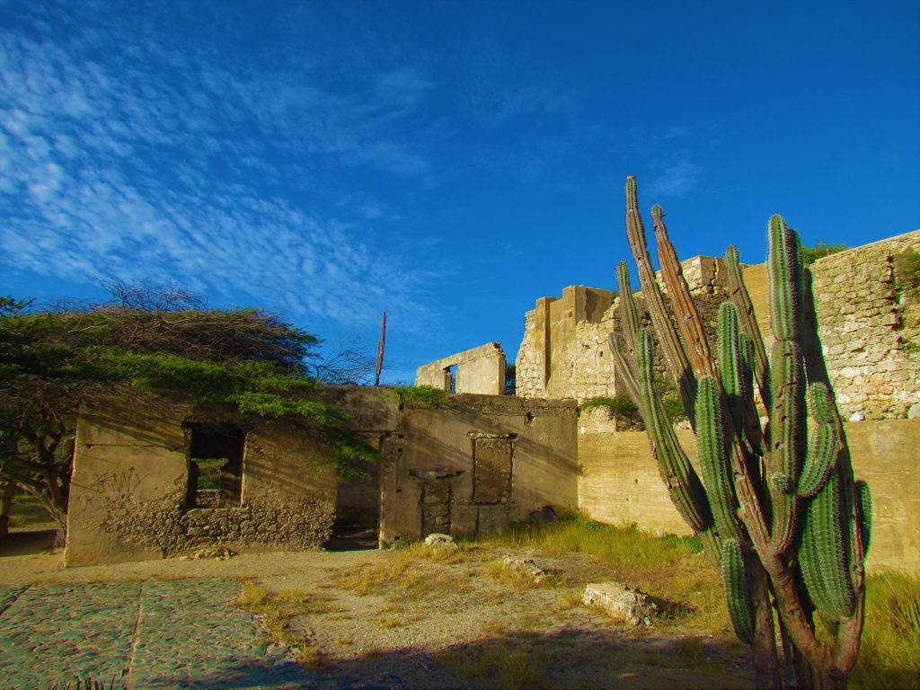 balashi gold mill aruba ruins cactus landscape