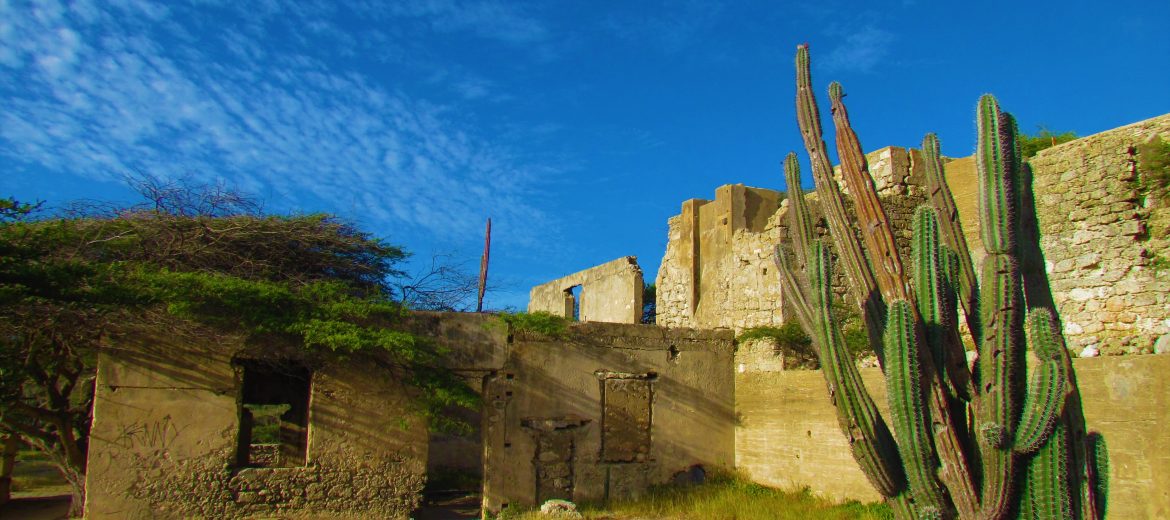 balashi gold mill aruba ruins cactus landscape