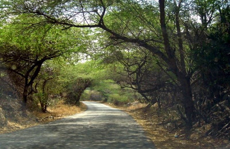 frenchmans pass aruba narrow road hills