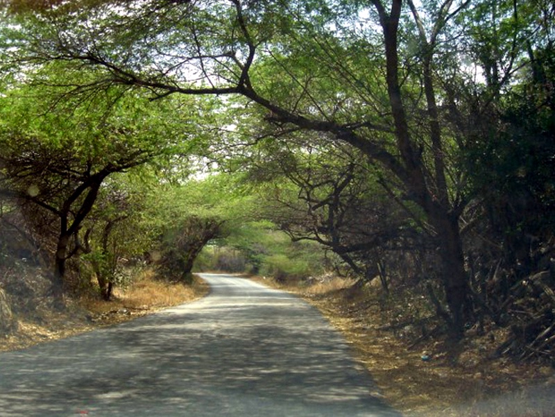 frenchmans pass aruba narrow road hills