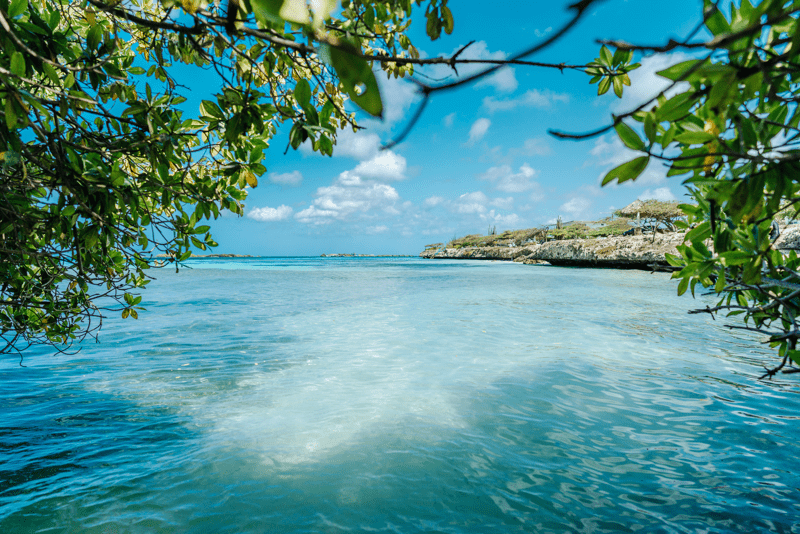 mangel halto wooden deck sunset mangroves aruba