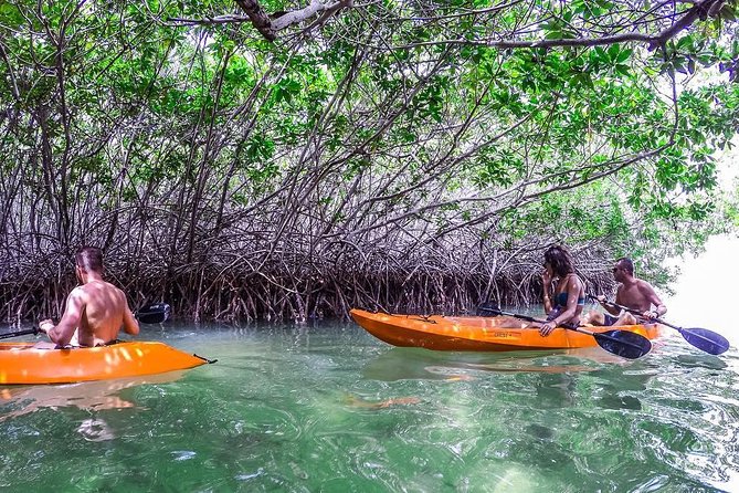aruba kayak snorkeling lagoon clear water