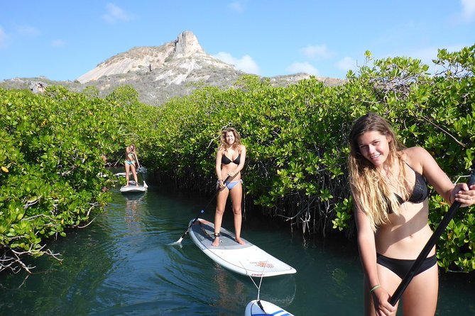 paddleboarding aruba calm lagoon mangroves