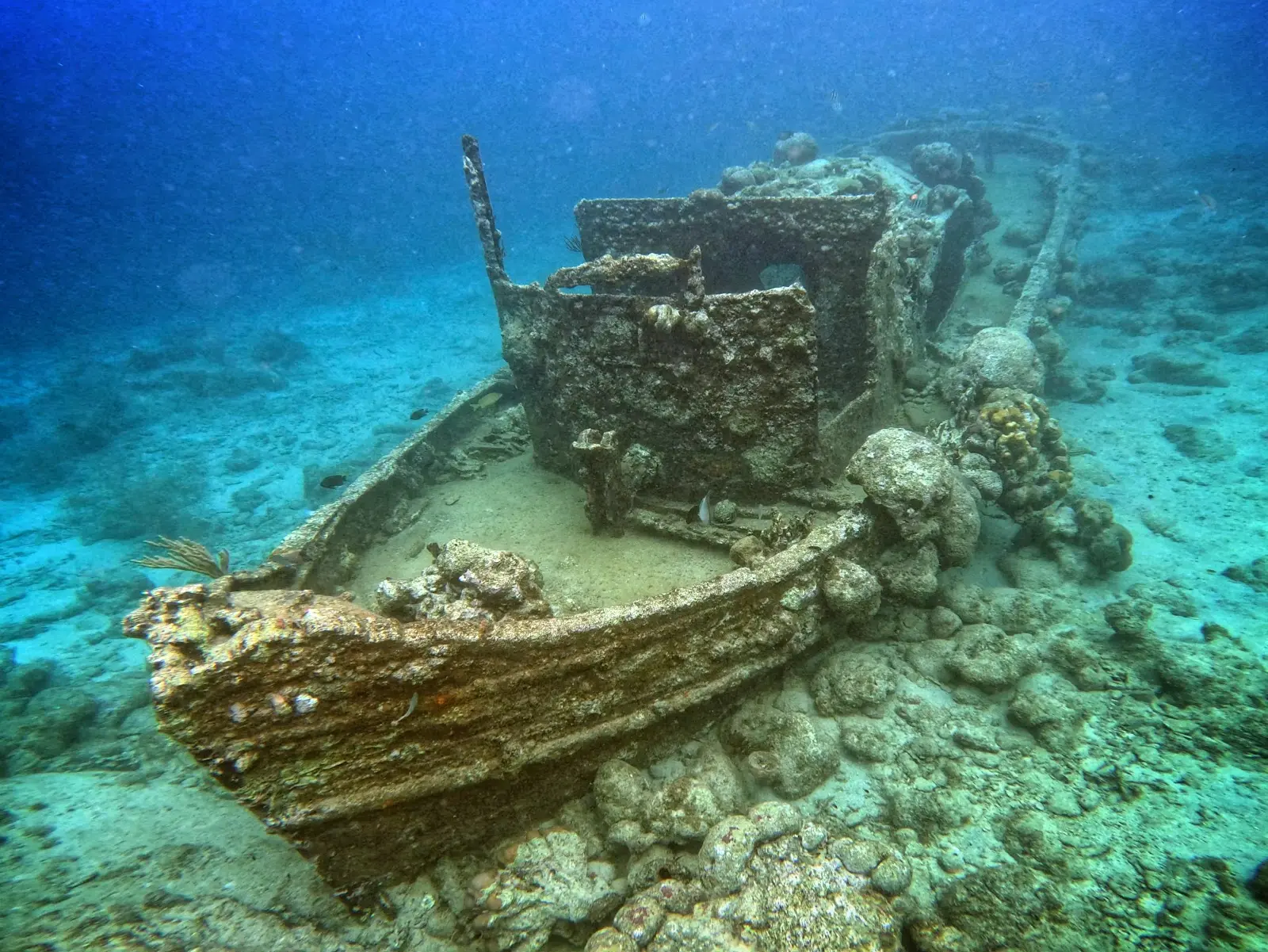aruba tugboat wreck underwater snorkeling site
