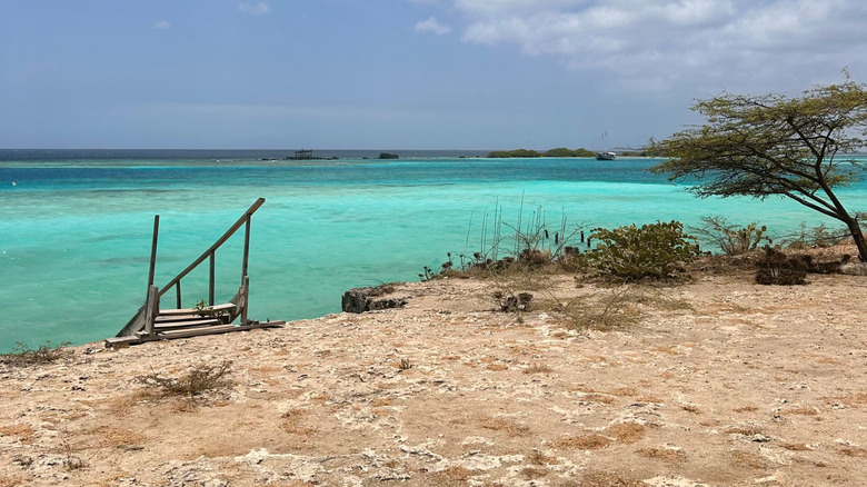 aruba hidden local beach mangroves area