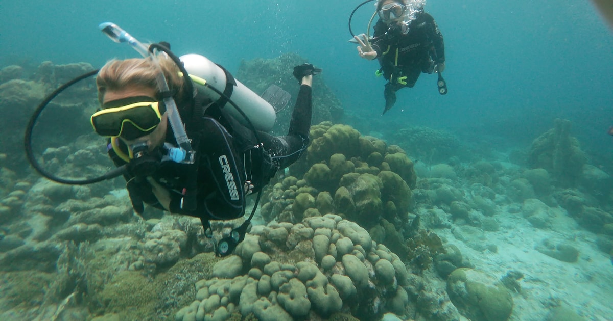 aruba coral reef edge snorkeling deep ocean