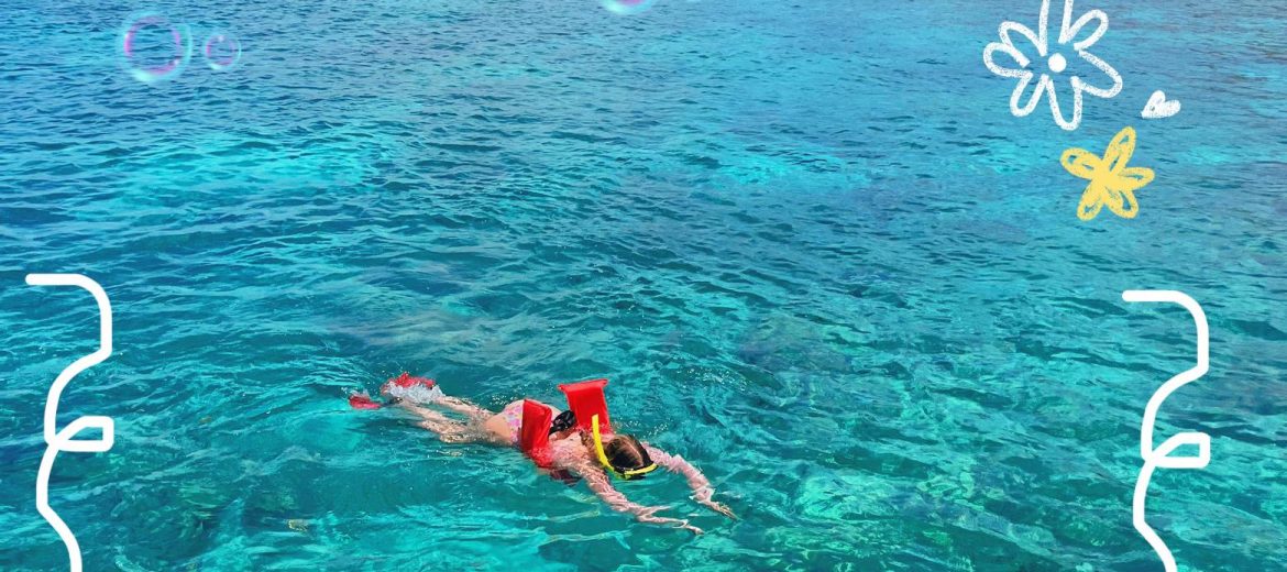 aruba lagoon snorkeling day trip clear water