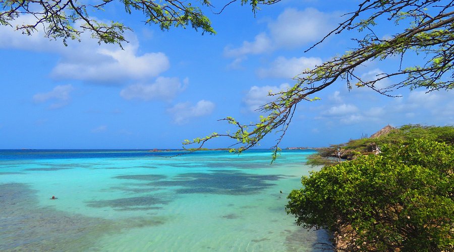 mangel halto deck turquoise lagoon water