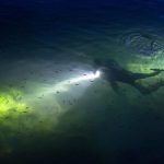 Night Shore Diving Mangel Halto Aruba for Certified Divers