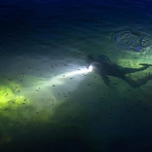 Night Shore Diving Mangel Halto Aruba for Certified Divers