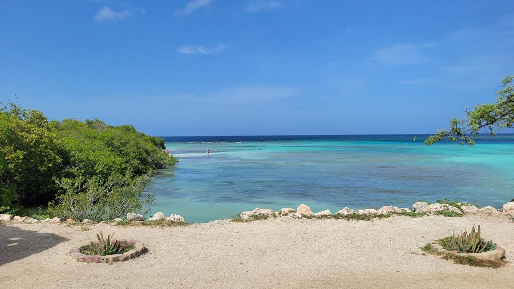 Scenic lagoon view during the Small Group Snorkeling at Mangel Halto Aruba tour with turquoise Caribbean waters